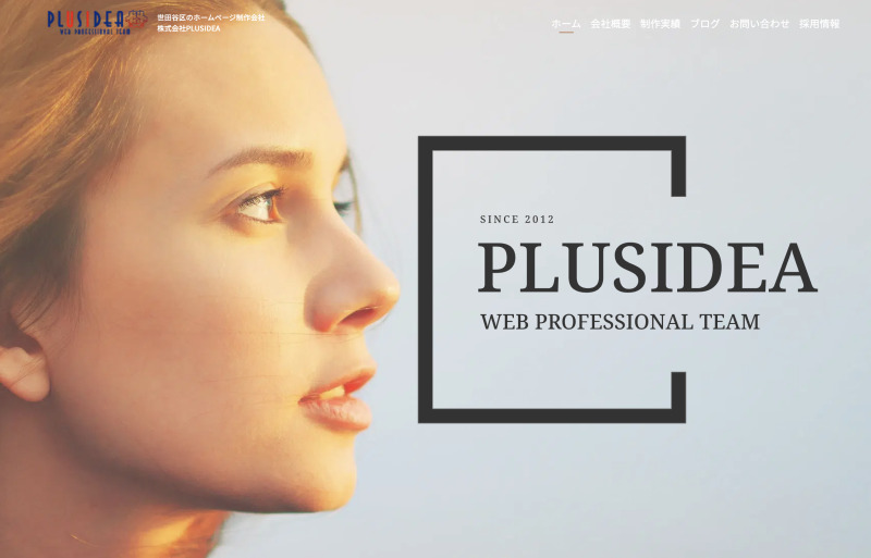 株式会社PLUSIDEA